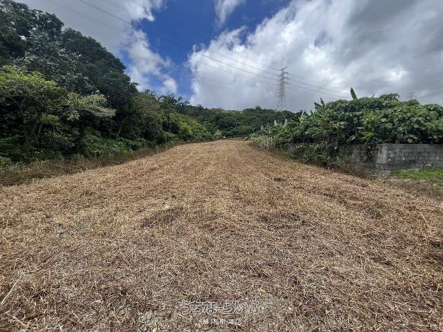 2453 sqm Land Plot for Sale in Nakagusuku Village, Okinawa - Thumbnail 4
