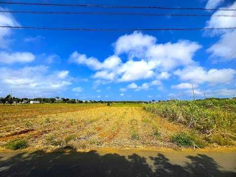 490m² Land for Sale in Miyakojima, Okinawa - Farmland Conversion - Thumbnail 2