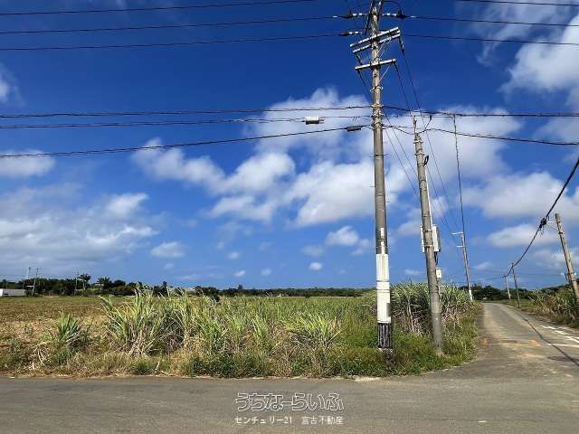 490m² Land for Sale in Miyakojima, Okinawa - Farmland Conversion - Thumbnail 3