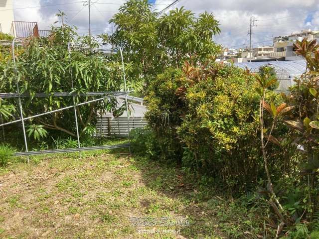 120.78㎡ Residential Land for Sale in Ganaha, Tomigusuku - Thumbnail 4