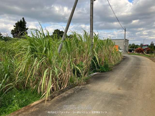 463 sqm Farmland for Sale in Miyakojima City, Okinawa - Thumbnail 4