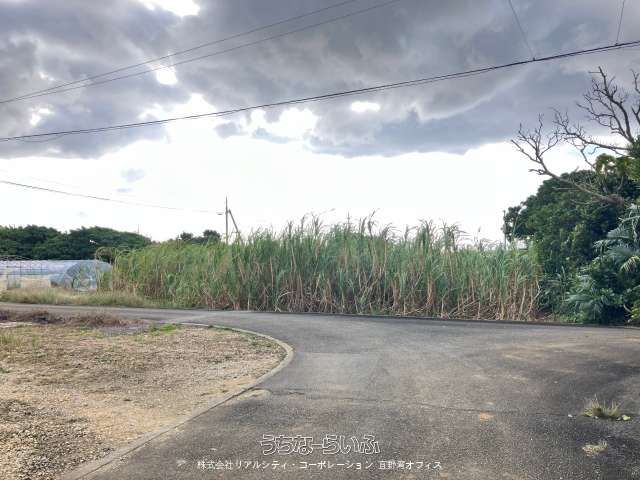 463 sqm Farmland for Sale in Miyakojima City, Okinawa - Thumbnail 3