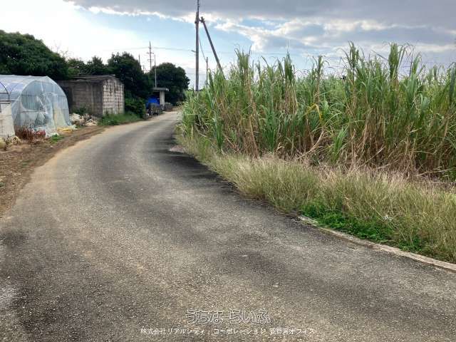 463 sqm Farmland for Sale in Miyakojima City, Okinawa - Thumbnail 2