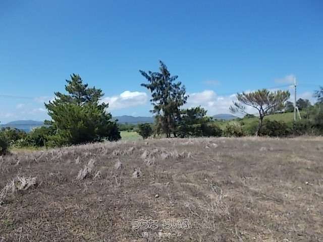 Land for Sale in Shinagawa, Ishigaki City, Okinawa - Thumbnail 4
