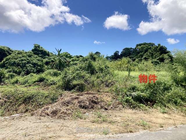 1266 sqm Rental Land in Uruma City, Okinawa | 180,000 Yen - Thumbnail 2