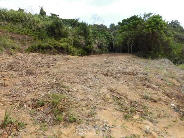 Land for Sale in Kochiji, Nago City, Okinawa - 1132 sqm - Thumbnail 2