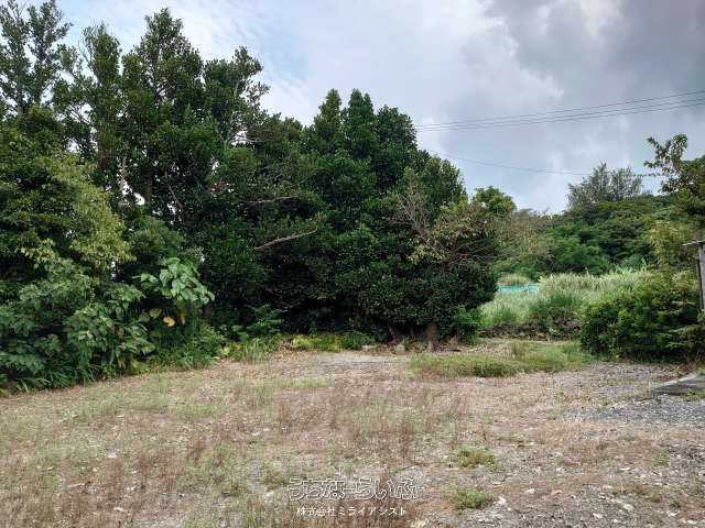603.3 sqm Land Plot for Sale in Sesoko, Motobu, Okinawa - Thumbnail 4