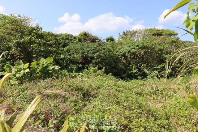 998m² Land for Sale in Ishigaki, Okinawa - Momozato Area - Thumbnail 2