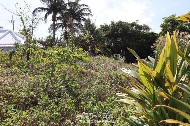 998m² Land for Sale in Ishigaki, Okinawa - Momozato Area - Thumbnail 4
