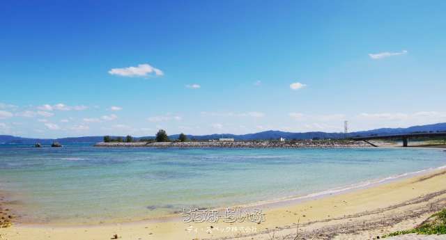 1765.95 sqm Land for Sale in Sueide, Nago City, Okinawa - Thumbnail 3