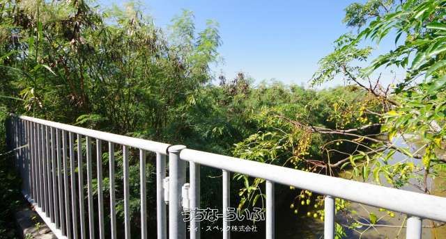 1765.95 sqm Land for Sale in Sueide, Nago City, Okinawa - Thumbnail 4