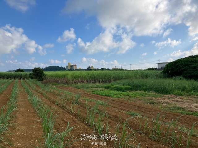 262 Tsubo Land for Sale Near Miyakojima Onsen, Okinawa - Thumbnail 3