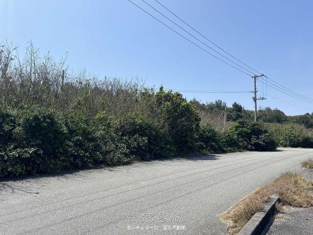 Land for Sale in Miyakojima with Ocean View - 1340 sqm - Thumbnail 4