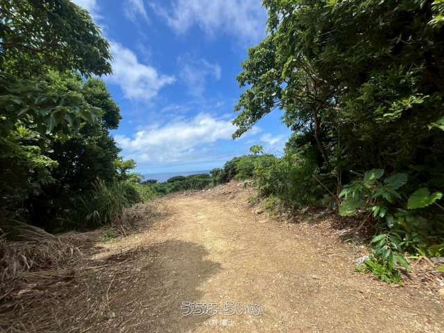 567 Tsubo Kouri Land for Villa Development with Sunset Views - Thumbnail 2
