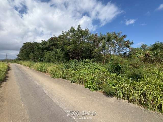 Land for Sale in Shiro, Ishigaki City - 1224 sqm Plot - Thumbnail 4