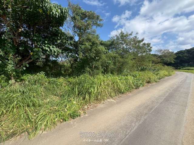 Land for Sale in Shiro, Ishigaki City - 1224 sqm Plot - Thumbnail 3