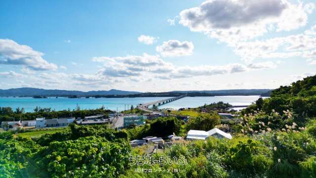 Land for Sale on Kouri Island, Okinawa with Ocean Views - Thumbnail 3
