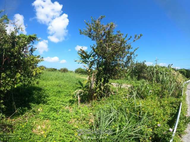 12,830 sqm Coastal Land for Sale in Uruma, Okinawa - Thumbnail 3