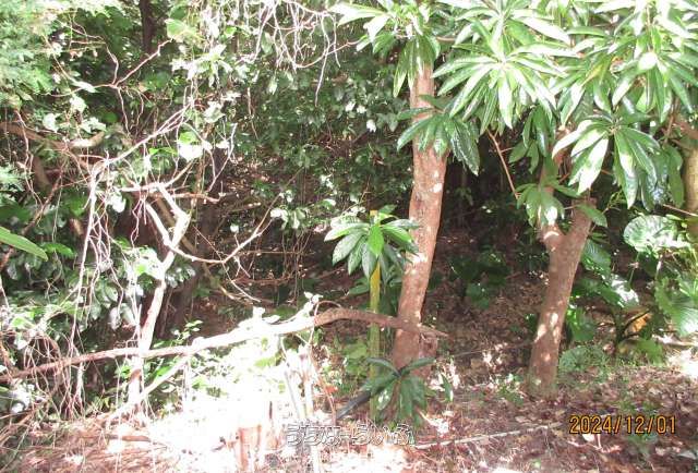 Historical Land Plot for Sale in Haebaru Town, Okinawa - Thumbnail 4