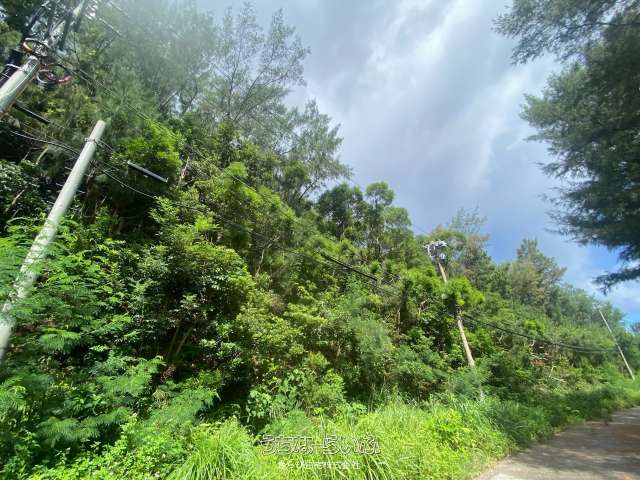 2142 sqm Land for Sale in Onna Village, Okinawa - Thumbnail 2