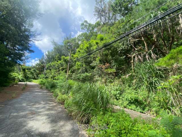 2142 sqm Land for Sale in Onna Village, Okinawa - Thumbnail 4