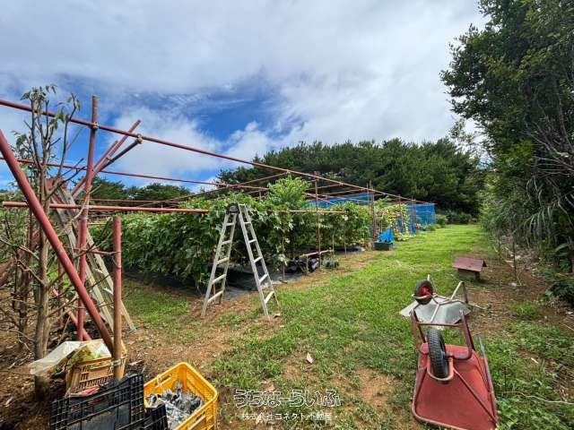 1239 sqm Land Plot for Sale in Fukei, Nago City, Okinawa - Thumbnail 3