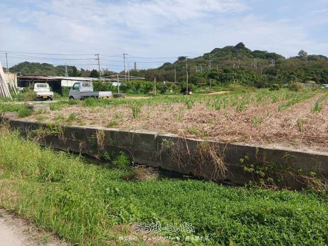 1690m² Agricultural Land for Sale in Uruma City, Okinawa - Thumbnail 2