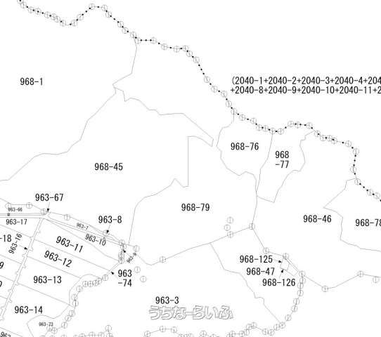 66,116 sqm Forest Land for Sale in Hiji, Kunigami Village, Okinawa - Thumbnail 2
