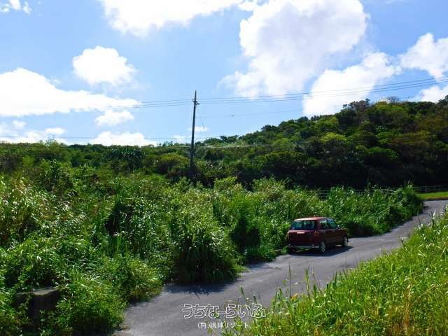 4369 sqm Development Land for Sale in Nanjo City, Okinawa - Thumbnail 3