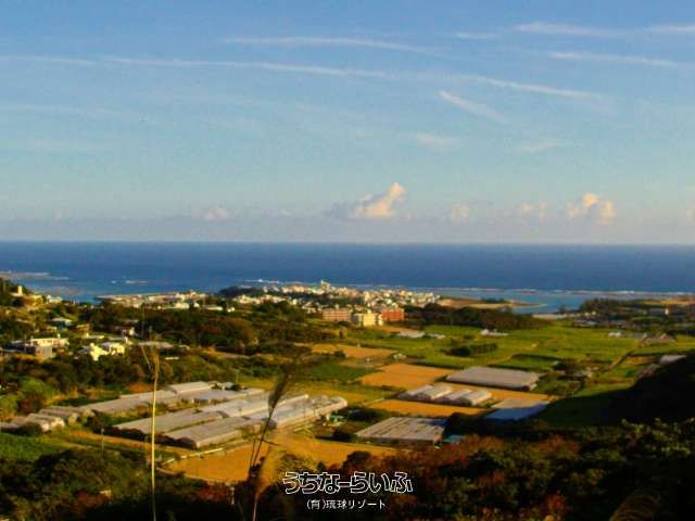 4369 sqm Development Land for Sale in Nanjo City, Okinawa - Thumbnail 2
