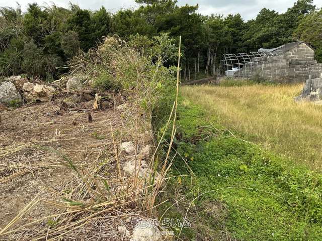 428.09 sqm Land for Sale in Yaeze Town, Okinawa - Thumbnail 4