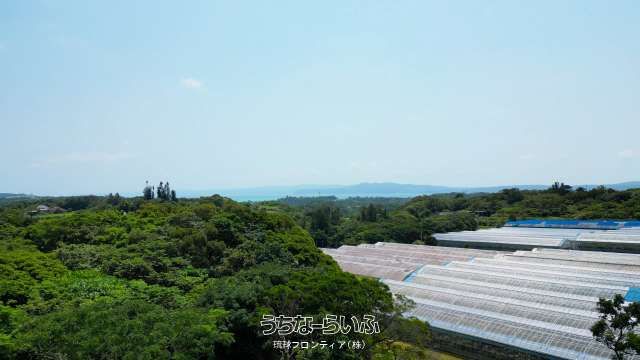 6,175 sqm Land for Sale in Nakijin Village, Okinawa - Thumbnail 3