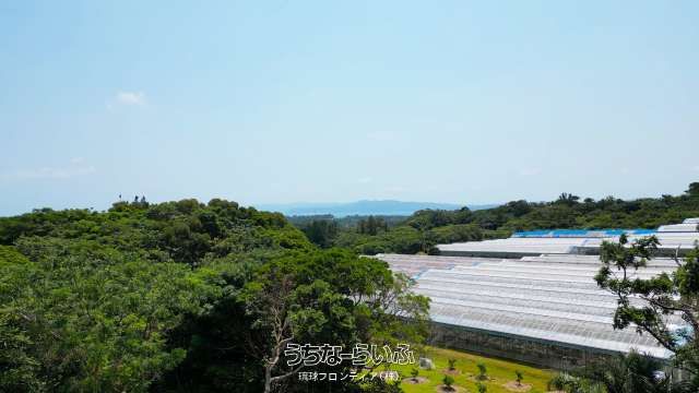 6,175 sqm Land for Sale in Nakijin Village, Okinawa - Thumbnail 2