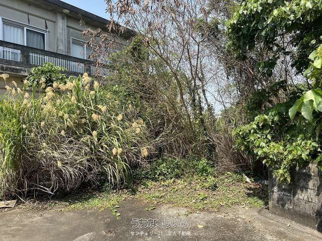 735 sqm L-Shaped Land for Sale in Miyakojima, Okinawa - Thumbnail 4