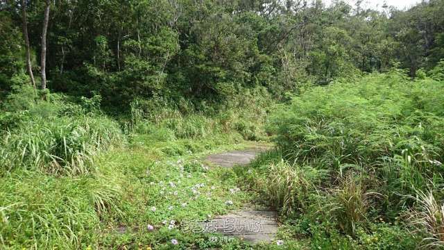 Land for Sale in Onna Village, Okinawa with East China Sea Views - Thumbnail 3