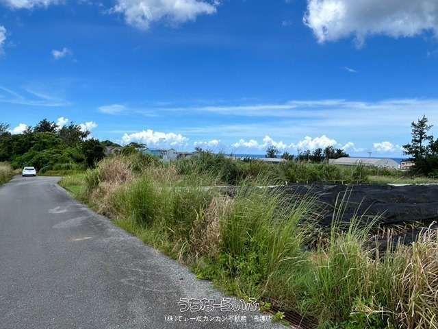 2734 sqm Farmland for Sale in Onna Village, Okinawa - Thumbnail 3