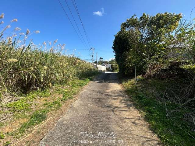 Land for Sale in Amasoko, Nakijin Village, Okinawa - 1743.17 sqm - Thumbnail 4