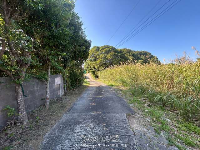 Land for Sale in Amasoko, Nakijin Village, Okinawa - 1743.17 sqm - Thumbnail 3