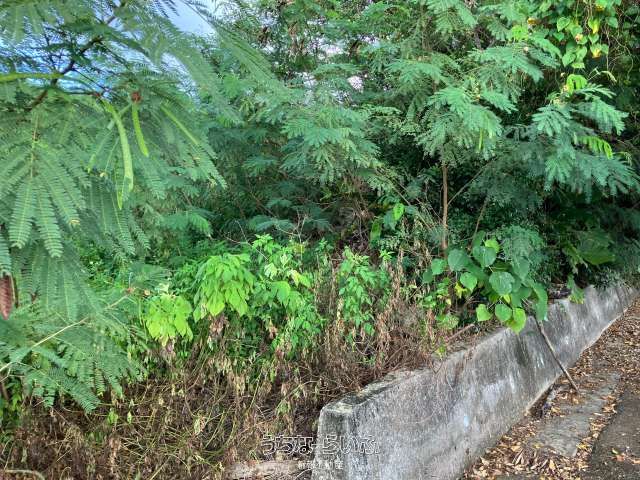 2241.83 sqm Land for Sale in Nishirizoe, Miyakojima, Okinawa - Thumbnail 2