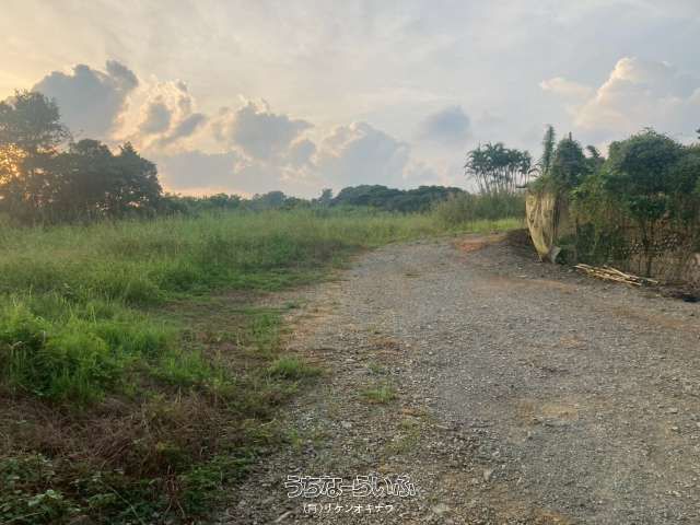 3,220 sqm Land for Sale in Isagawa, Nago City, Okinawa - Thumbnail 3