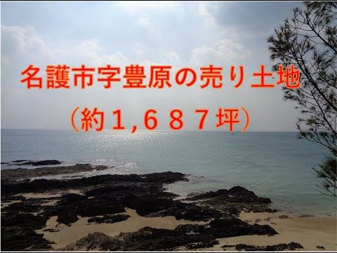 5580 sqm Land for Sale in Nago, Okinawa Near Seagrass Beach - Thumbnail 3