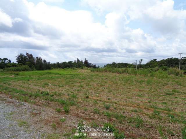 5580 sqm Land for Sale in Nago, Okinawa Near Seagrass Beach - Thumbnail 4