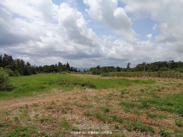 5580 sqm Land for Sale in Nago, Okinawa Near Seagrass Beach - Thumbnail 2