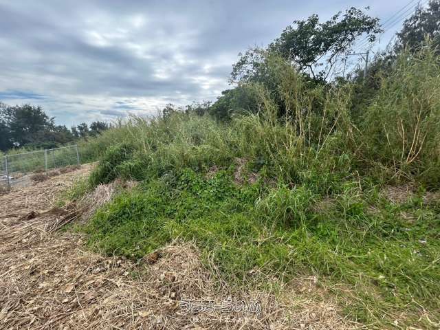 1352㎡ Land with Sea View Potential in Motobu Town, Okinawa - Thumbnail 2