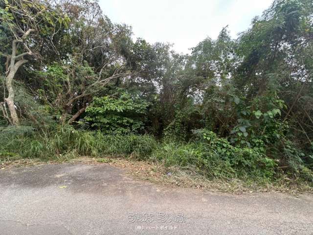 1352㎡ Land with Sea View Potential in Motobu Town, Okinawa - Thumbnail 4