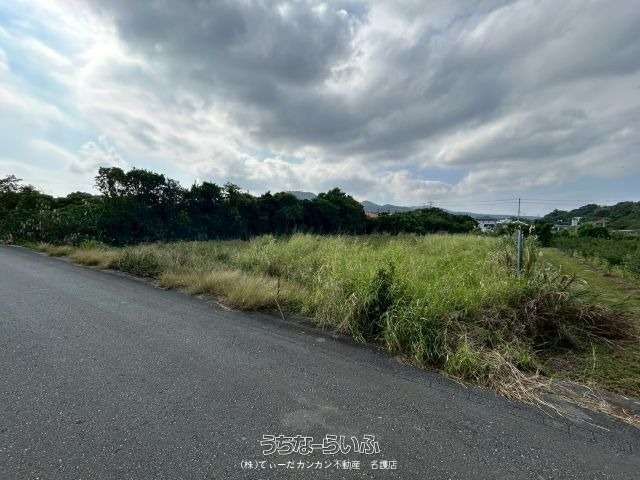 1593 sqm Farmland for Sale in Nakijin Village, Okinawa - Thumbnail 2