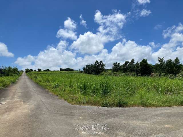 1905 sqm Agricultural Land for Sale in Nago City, Okinawa - Image 1