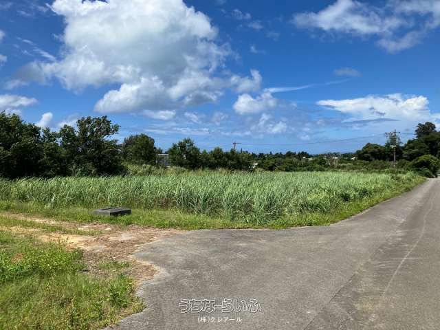 1905 sqm Agricultural Land for Sale in Nago City, Okinawa - Thumbnail 3