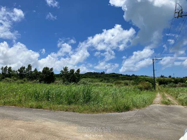 1905 sqm Agricultural Land for Sale in Nago City, Okinawa - Thumbnail 4