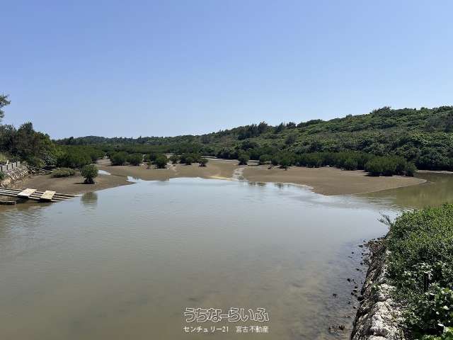 Miyakojima Land for Sale: Waterfront Plot Facing Mangrove Forest - Thumbnail 4